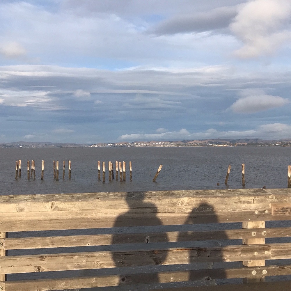 Meet your Posher, Koko